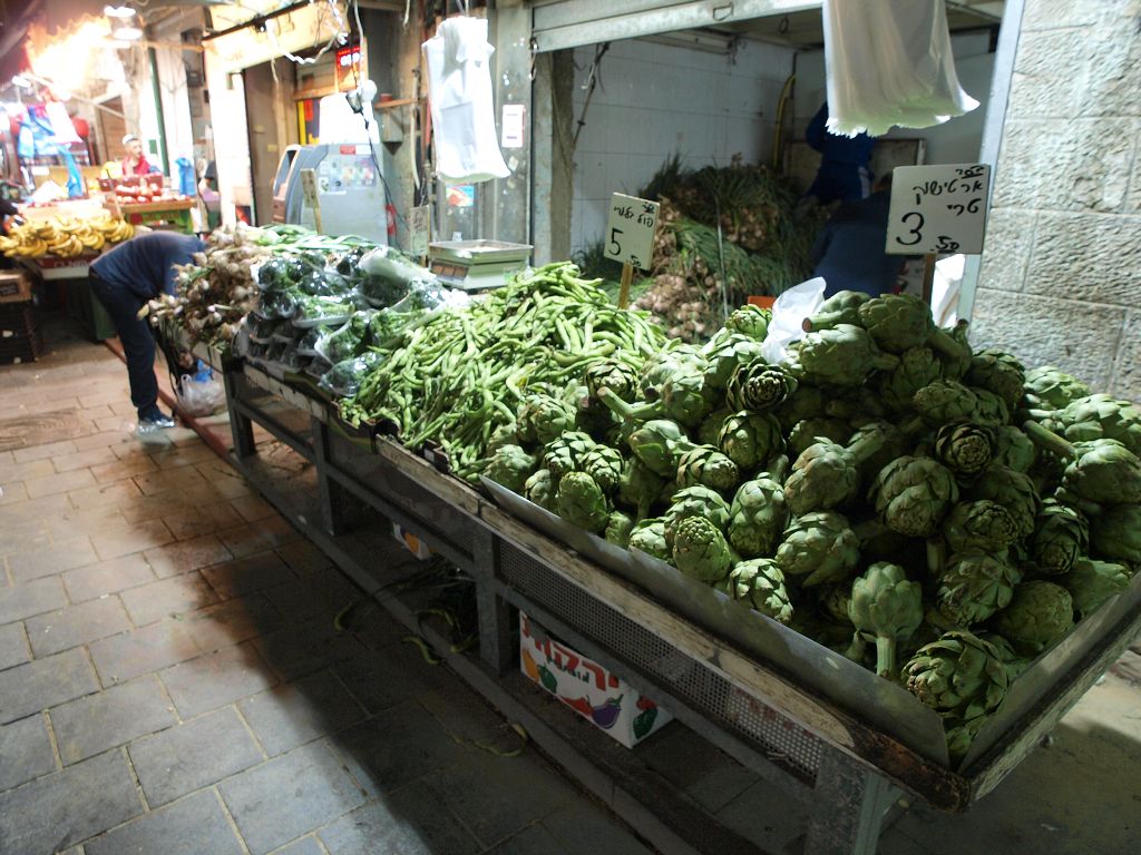 img00009.jpg