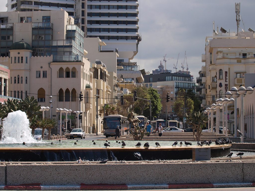 img00006.jpg