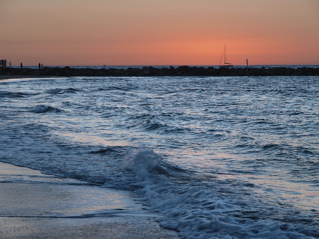 img00029.jpg