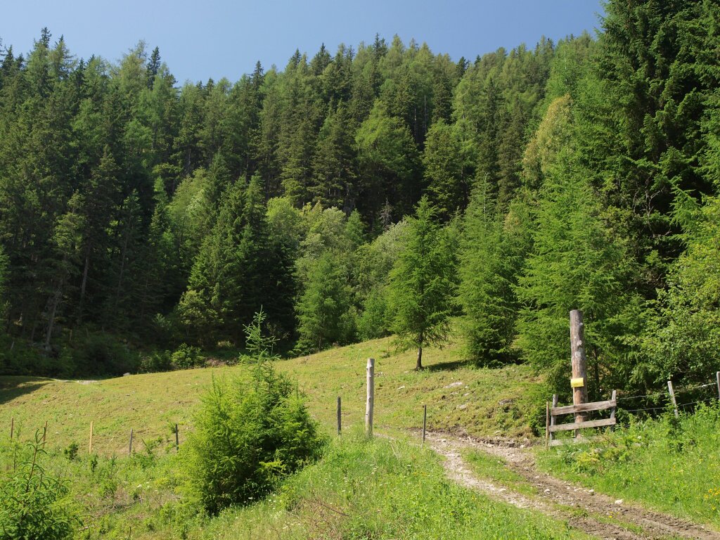 img00005.jpg