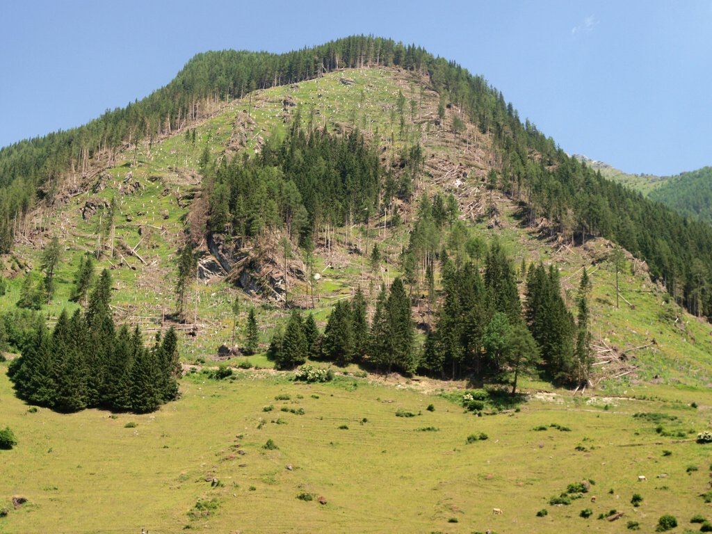 img00008.jpg