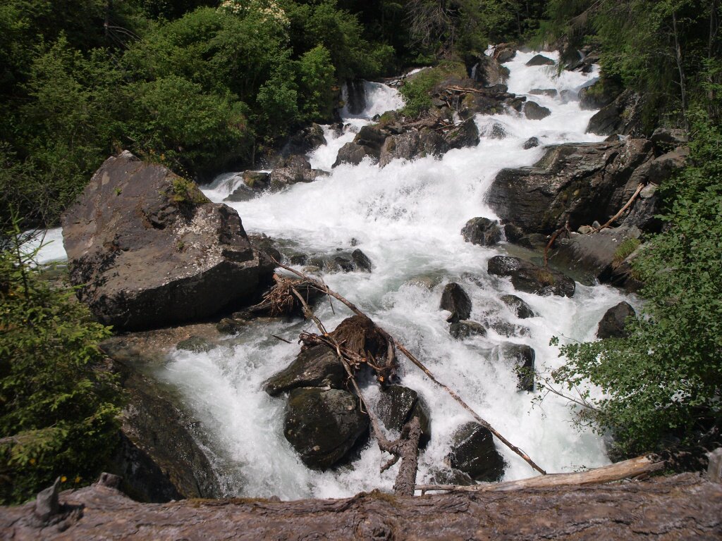 img00010.jpg