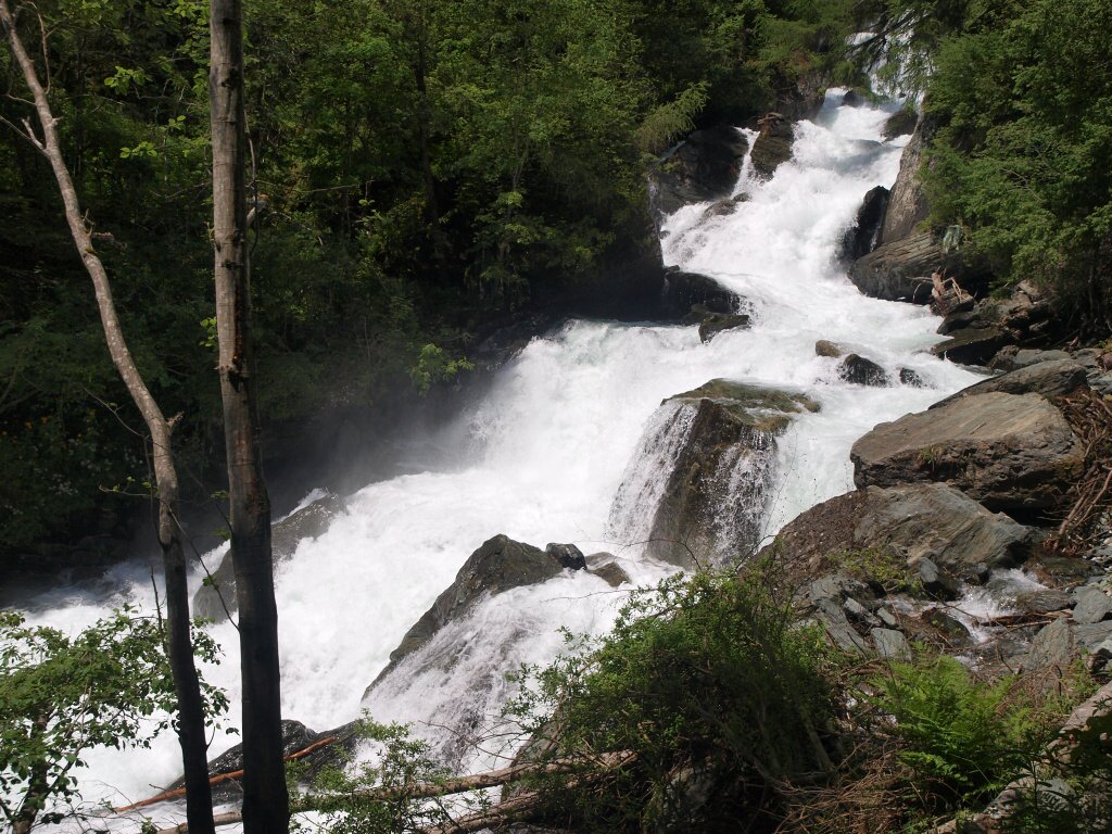 img00014.jpg