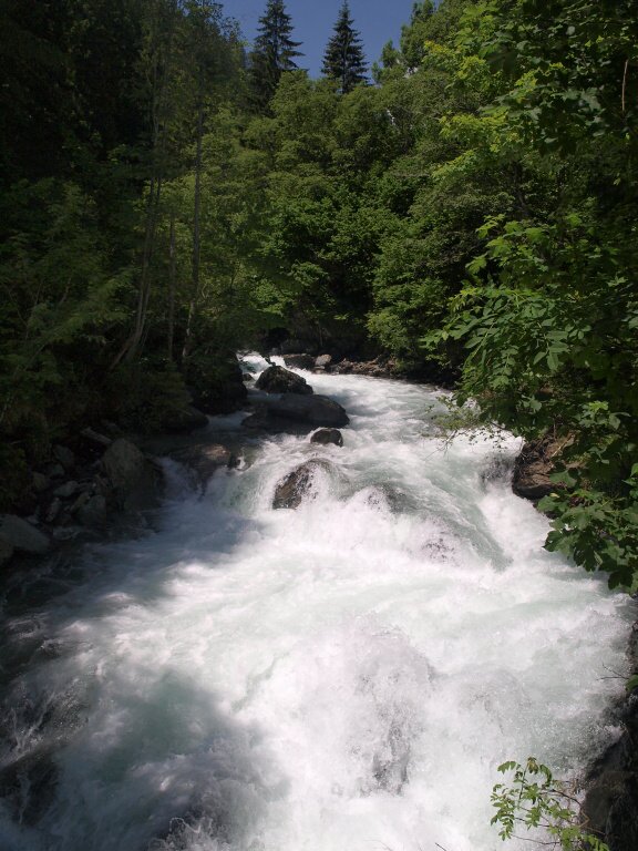 img00017.jpg