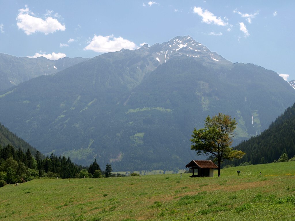 img00019.jpg