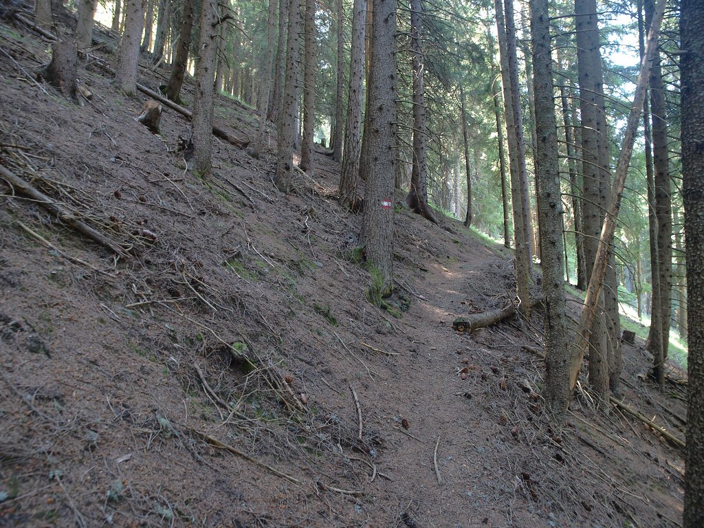 img00003.jpg