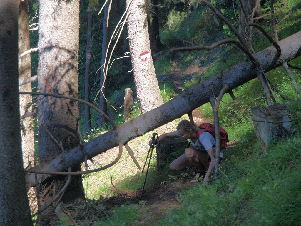 img00005.jpg