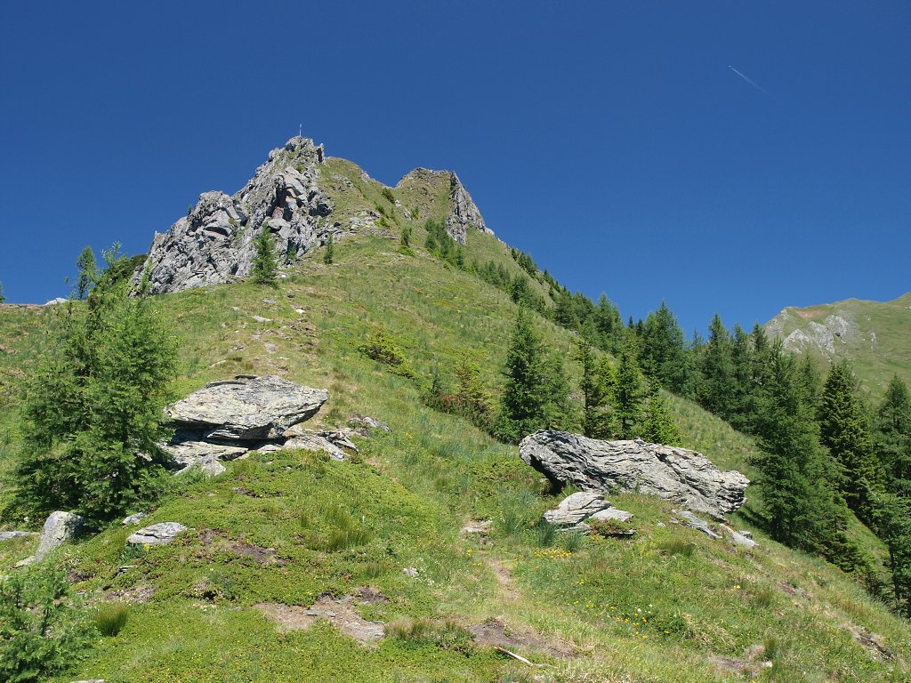 img00008.jpg