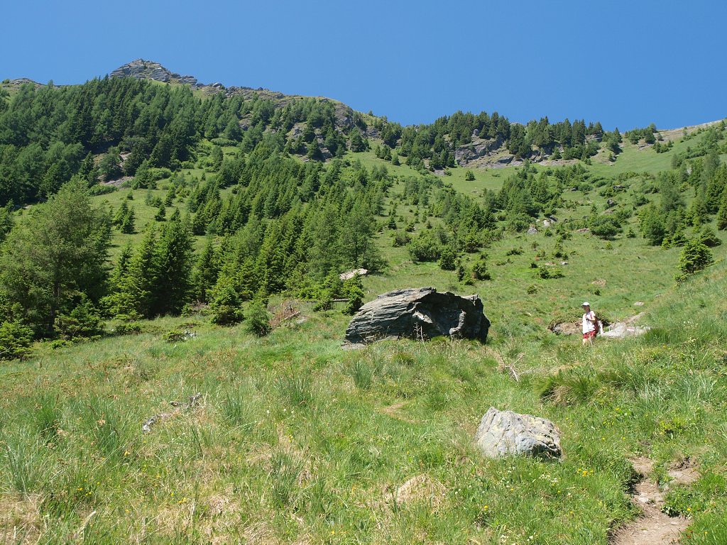 img00015.jpg