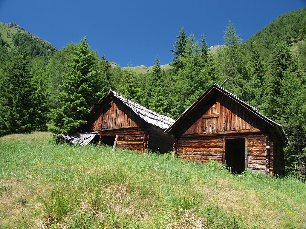 img00017.jpg