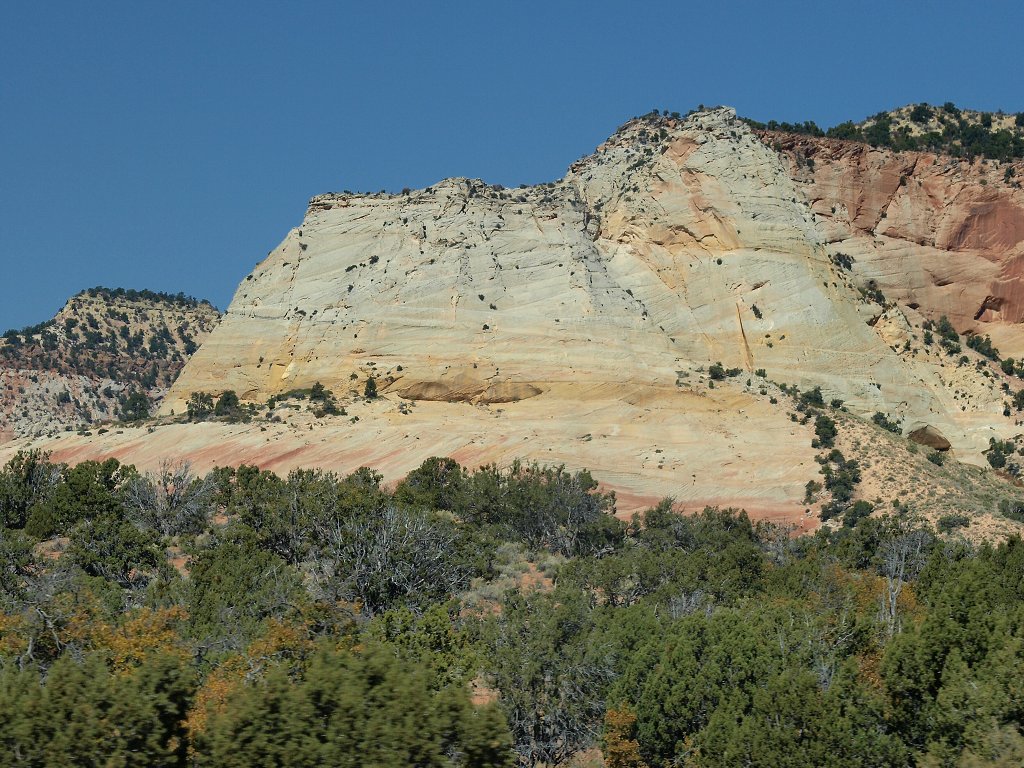 img00003.jpg
