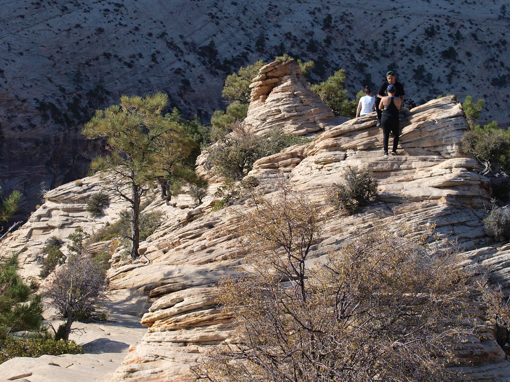 img00024.jpg