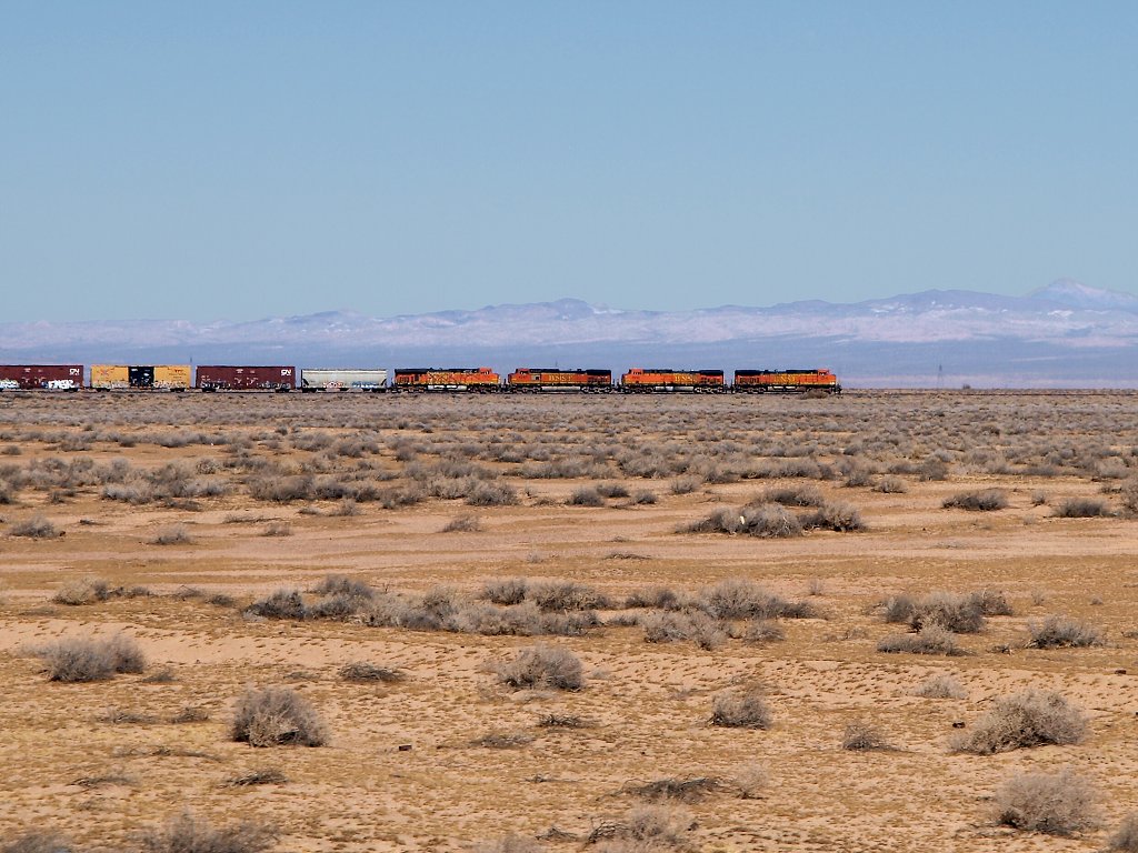img00005.jpg
