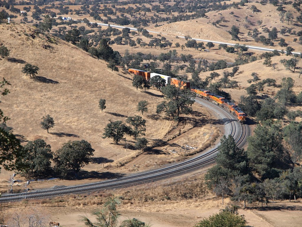 img00017.jpg