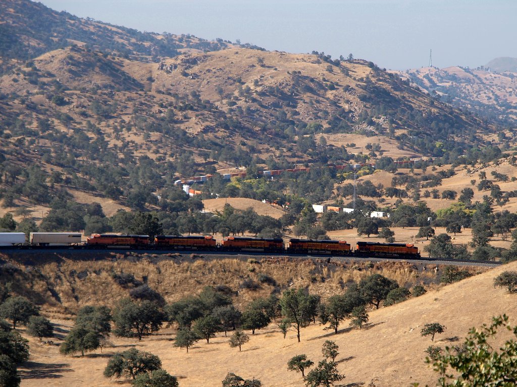 img00020.jpg
