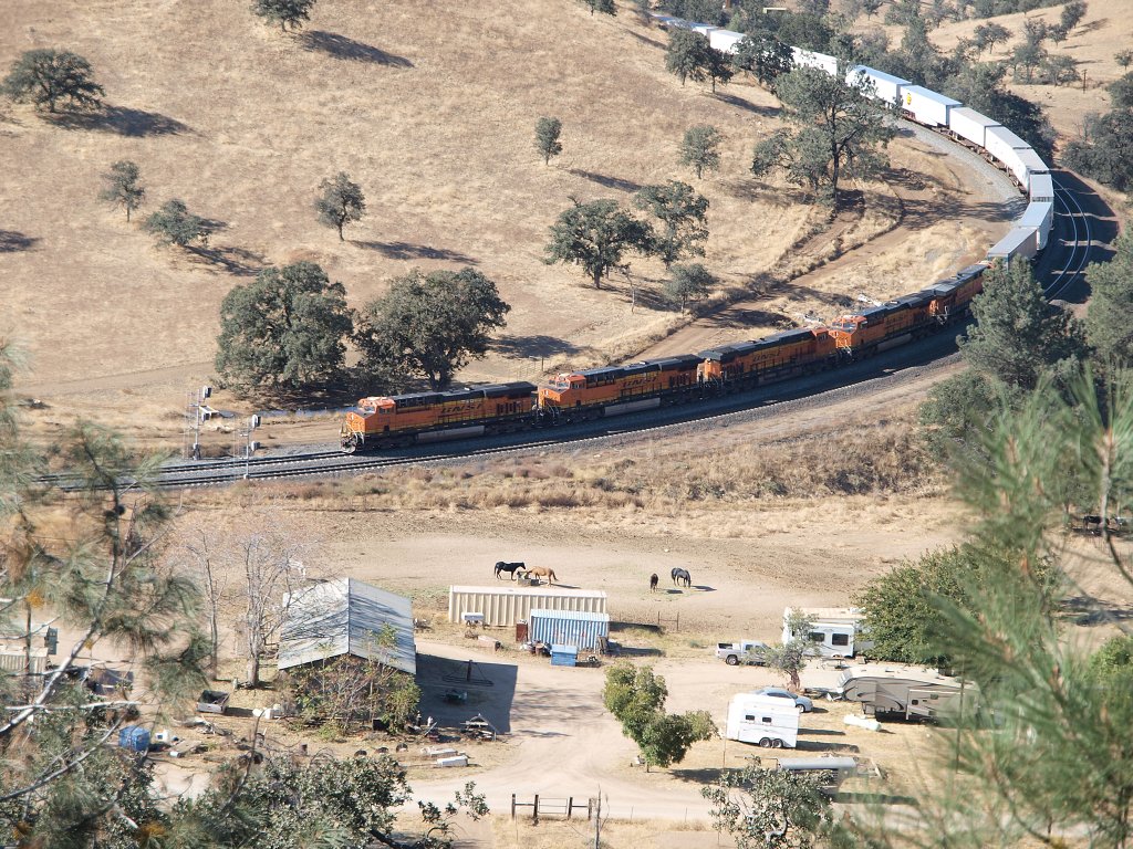 img00022.jpg