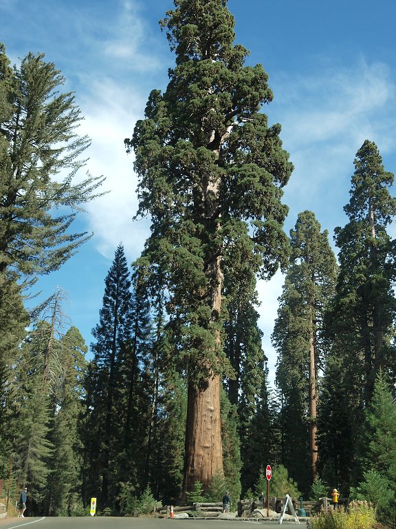 img00004.jpg