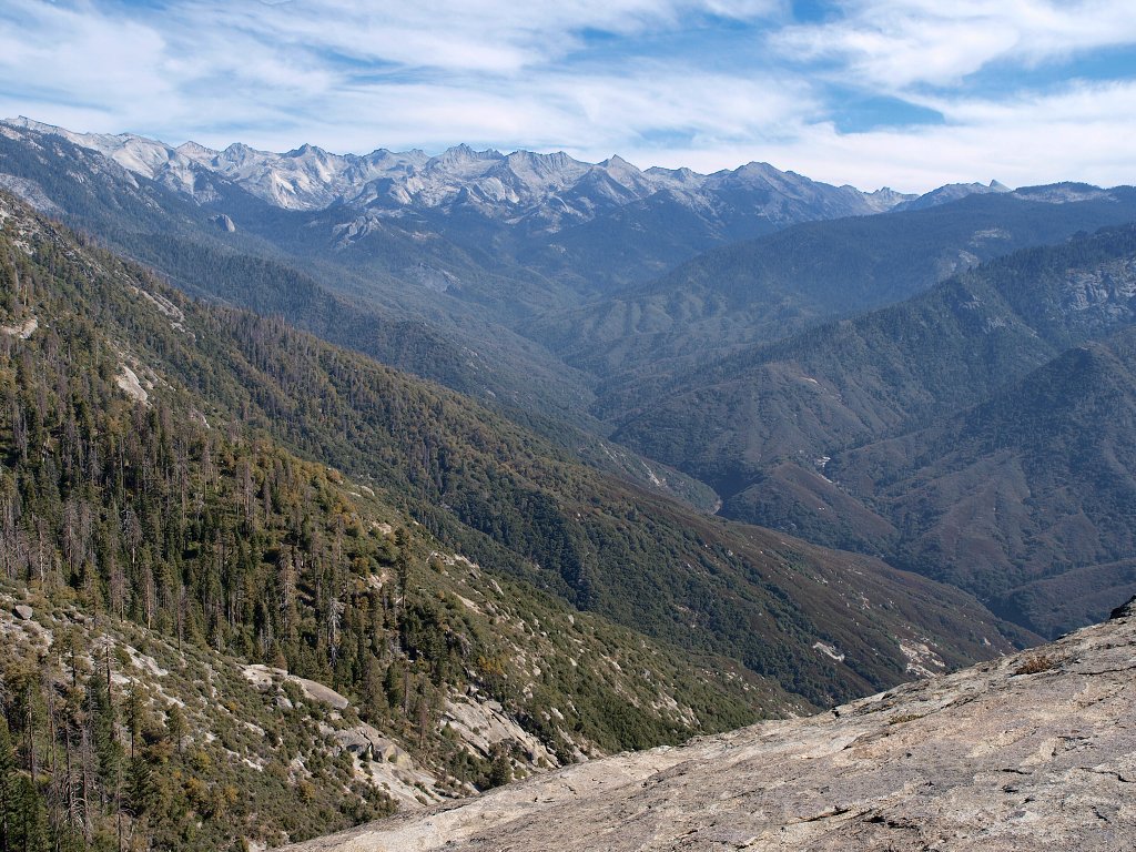 img00006.jpg