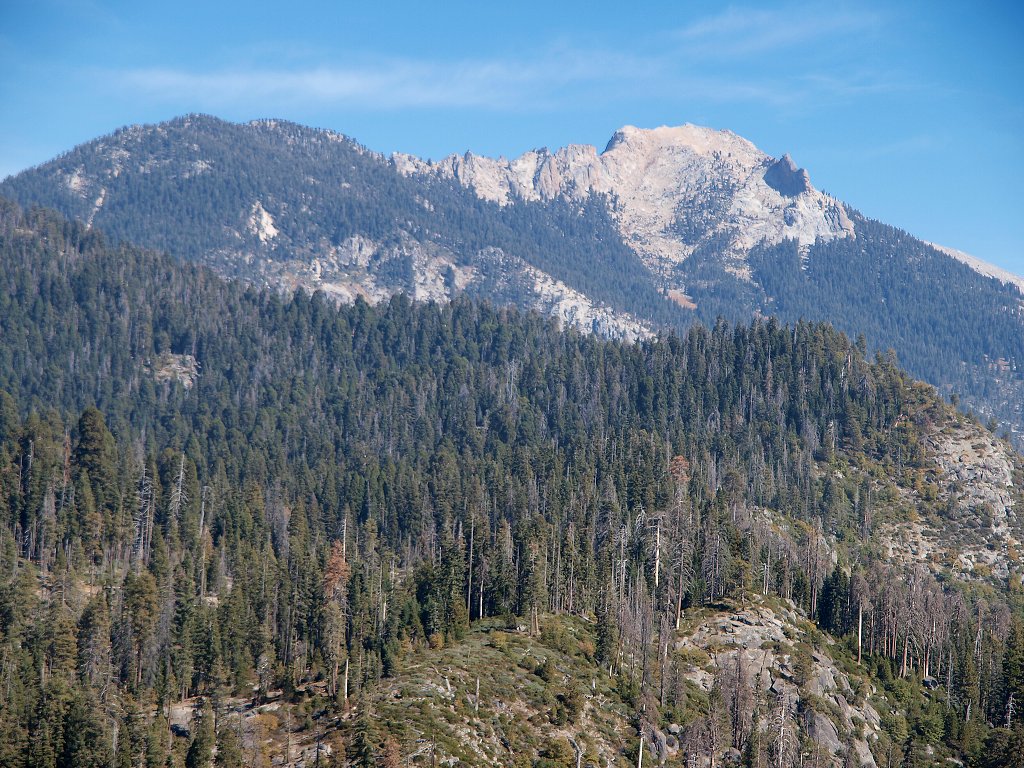img00010.jpg