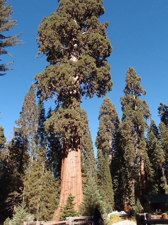 img00014.jpg