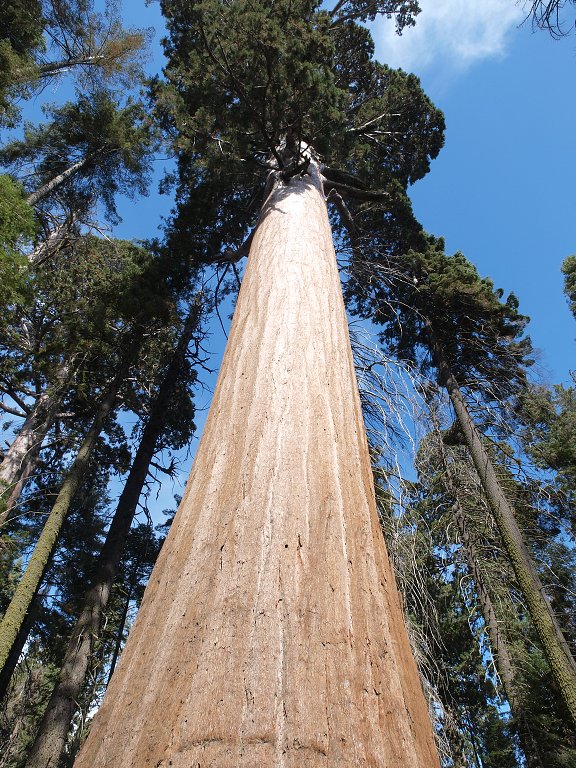 img00016.jpg