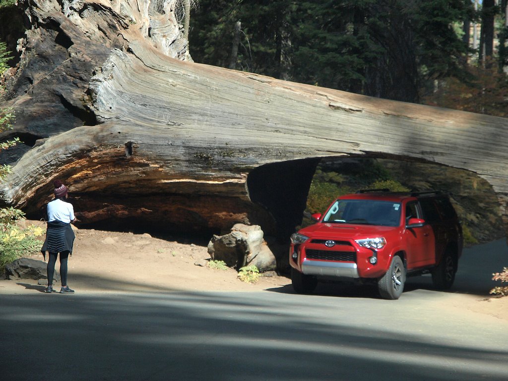 img00020.jpg