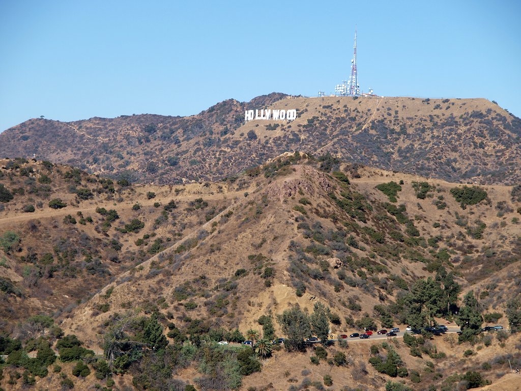 img00006.jpg