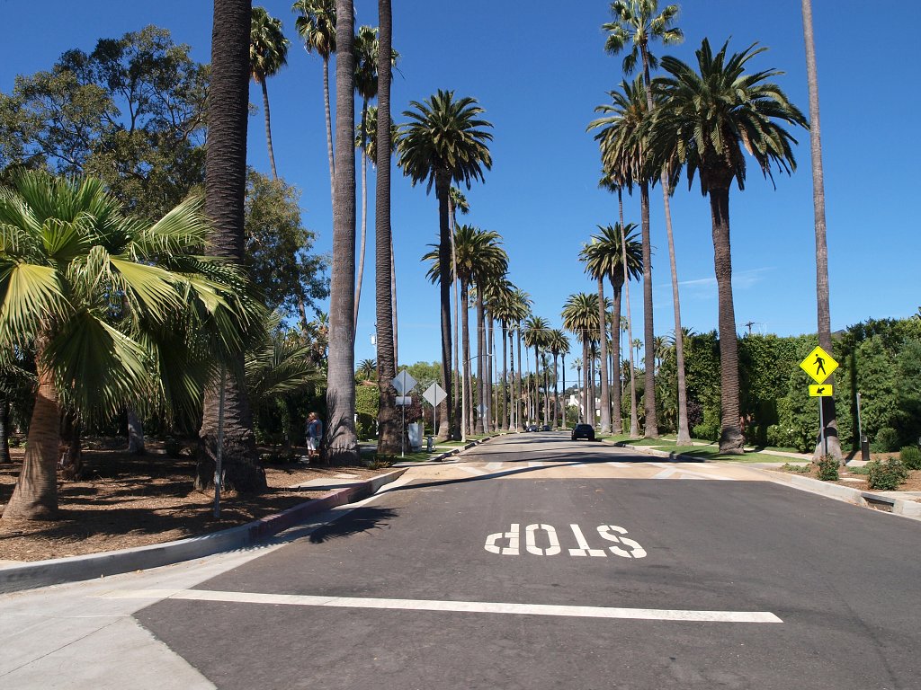 img00019.jpg