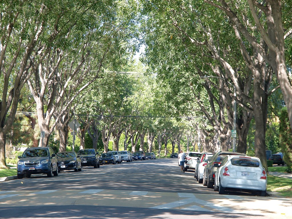 img00020.jpg