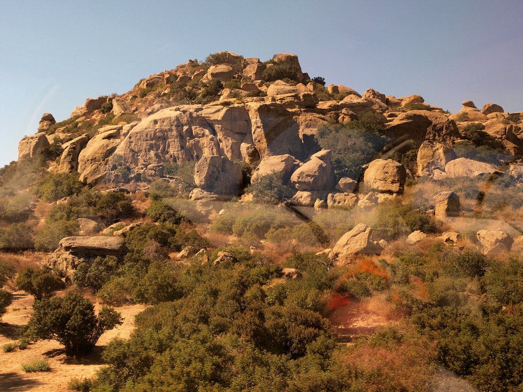 img00008.jpg