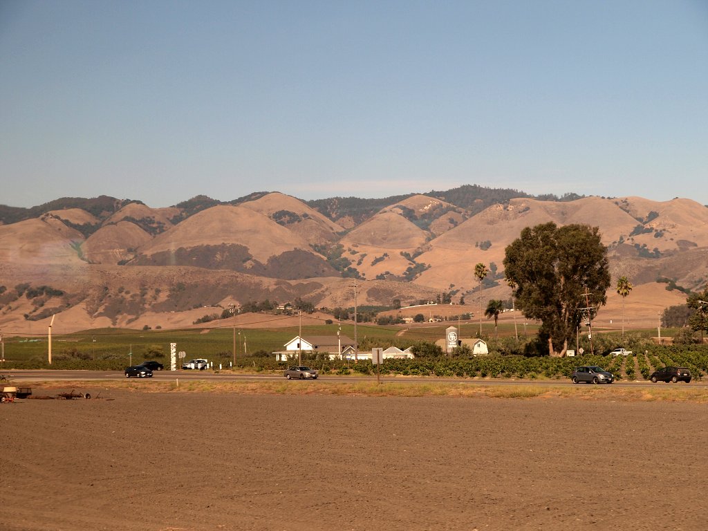 img00019.jpg