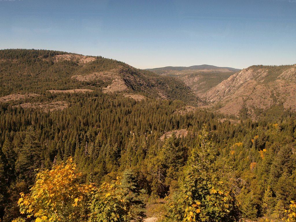 img00011.jpg