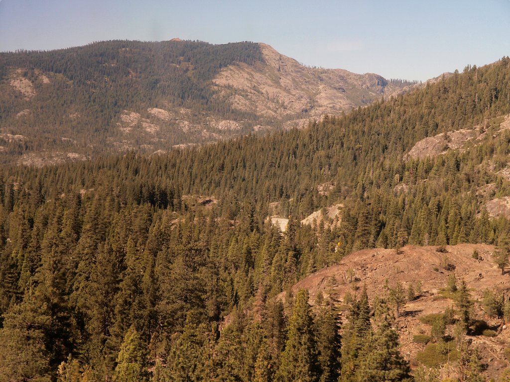 img00013.jpg