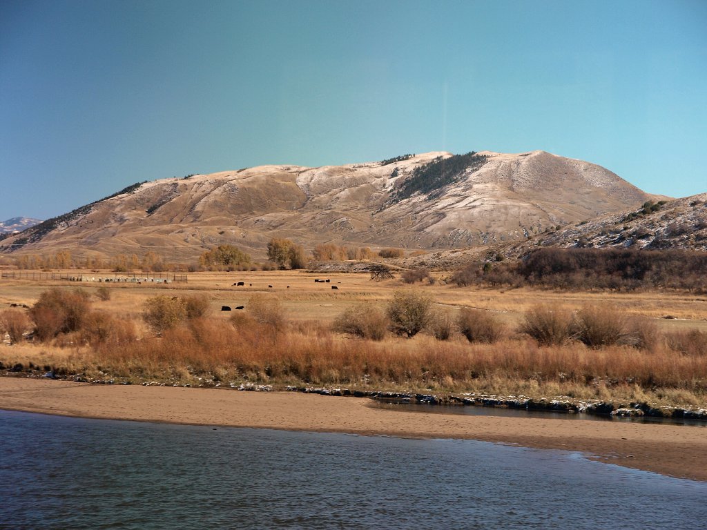 img00016.jpg