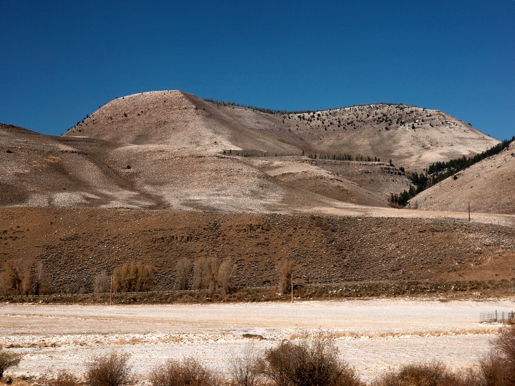 img00018.jpg