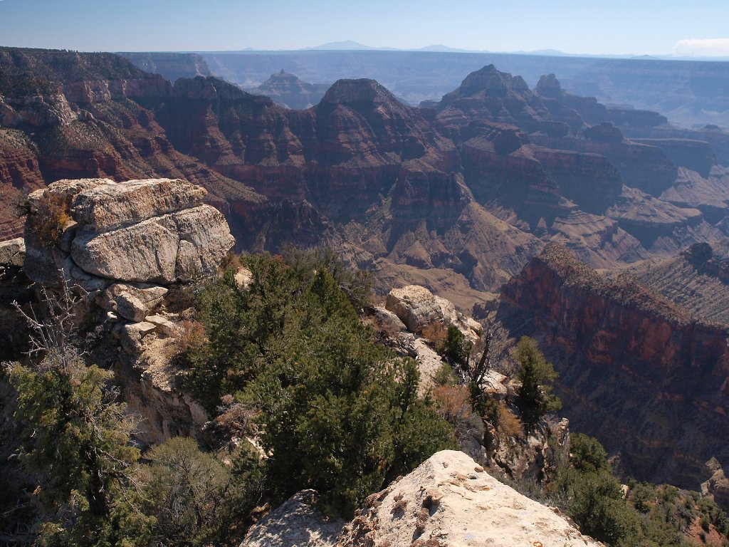 img00006.jpg