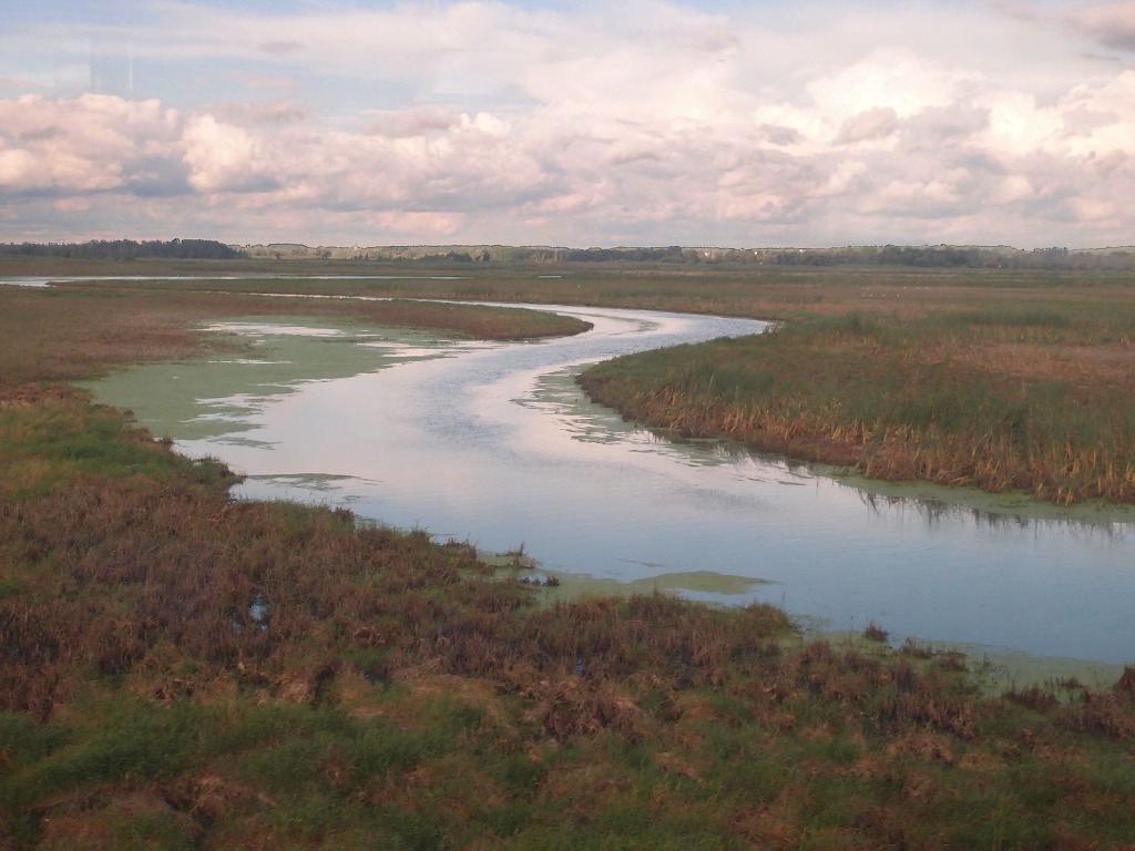 img00015.jpg