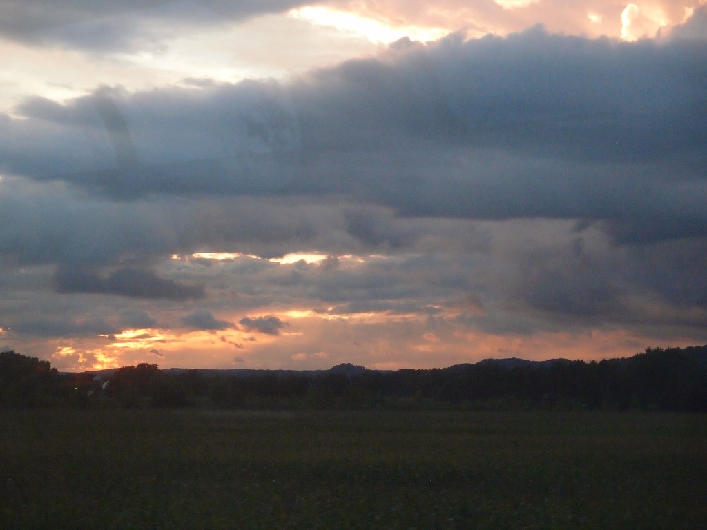 img00020.jpg