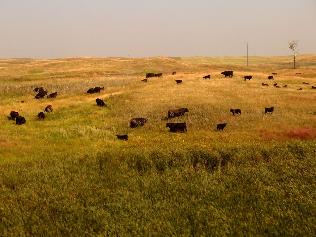 img00014.jpg