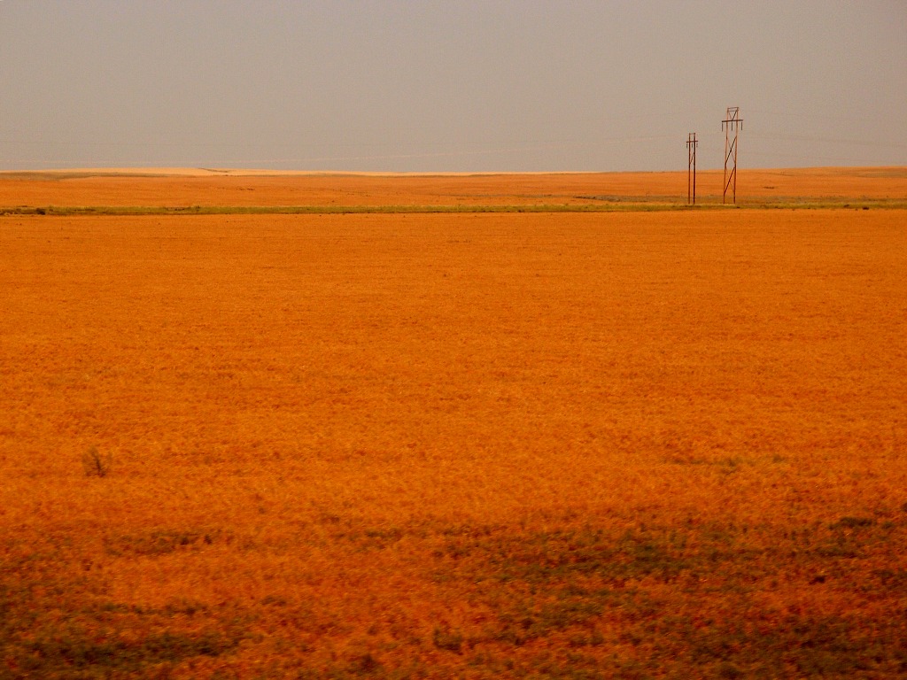 img00018.jpg
