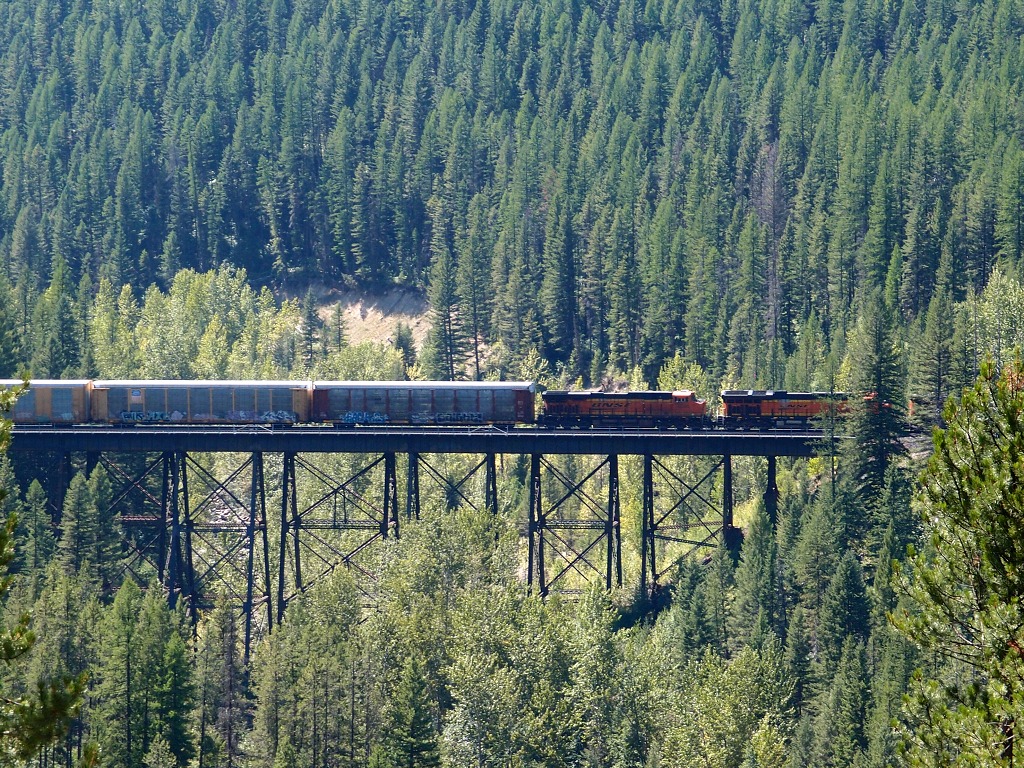 img00006.jpg