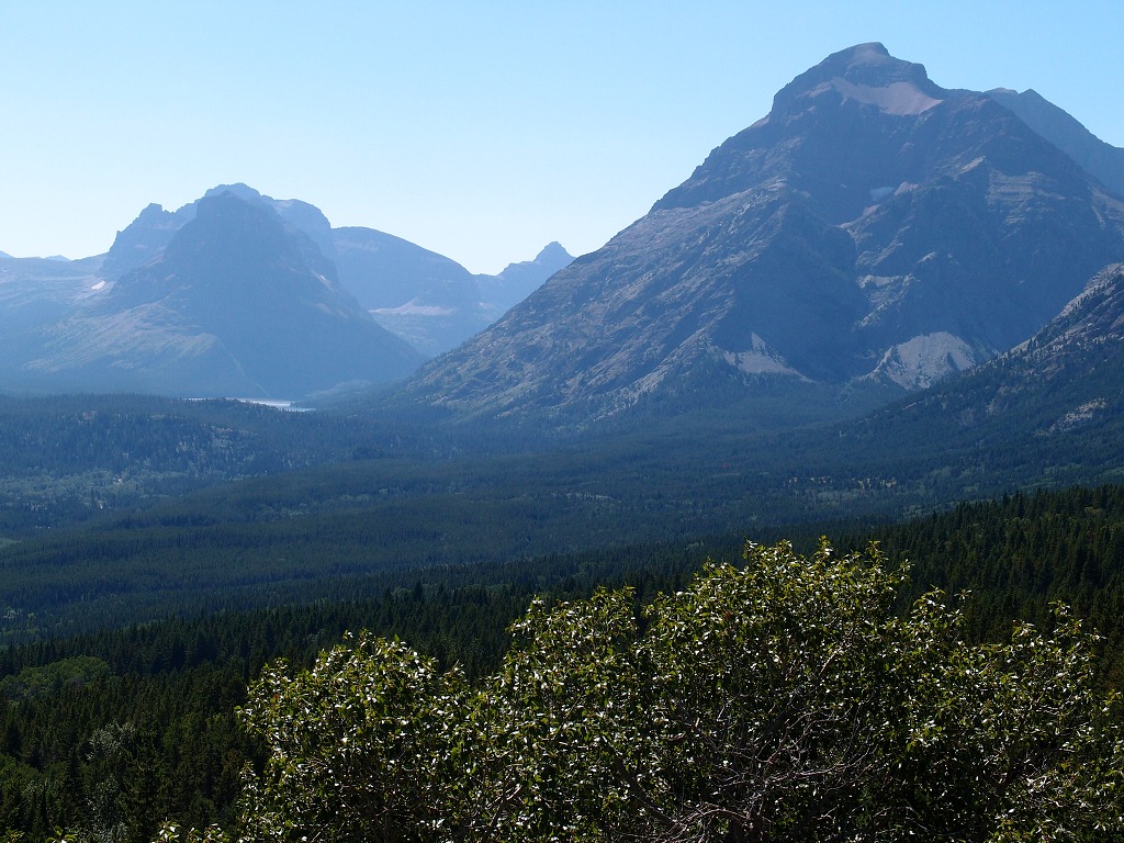 img00011.jpg