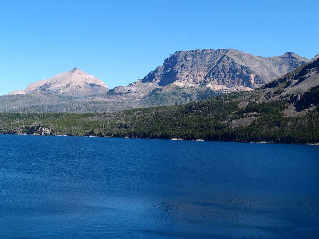 img00012.jpg