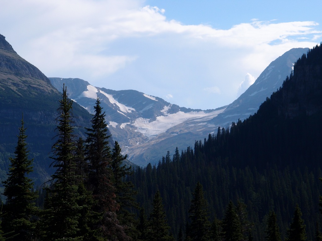 img00015.jpg