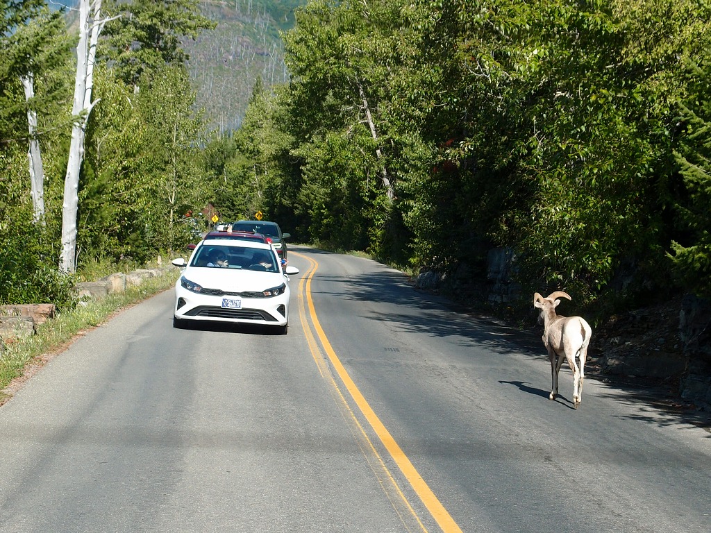 img00002.jpg