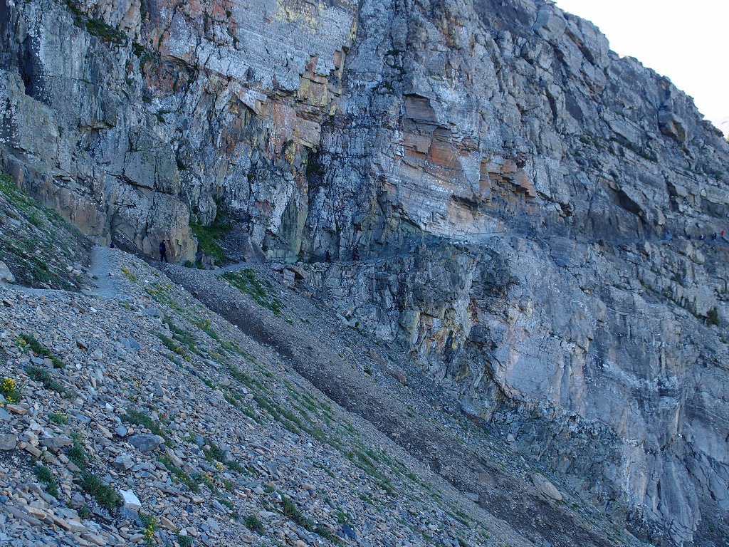 img00007.jpg