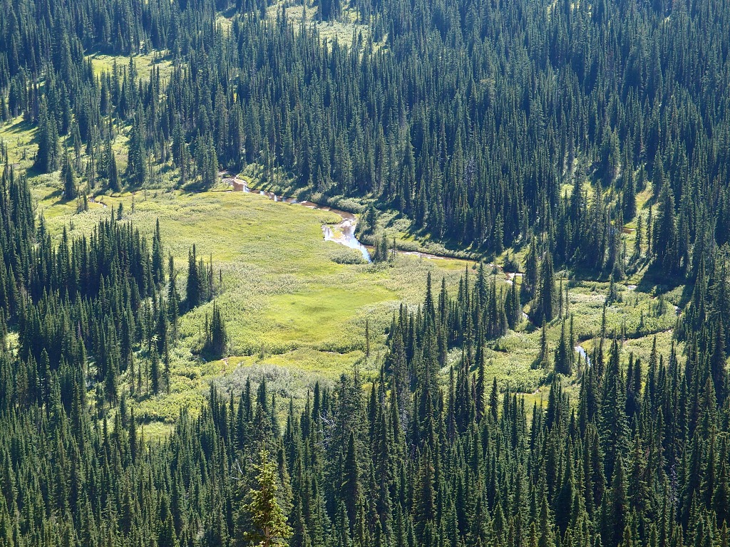 img00020.jpg