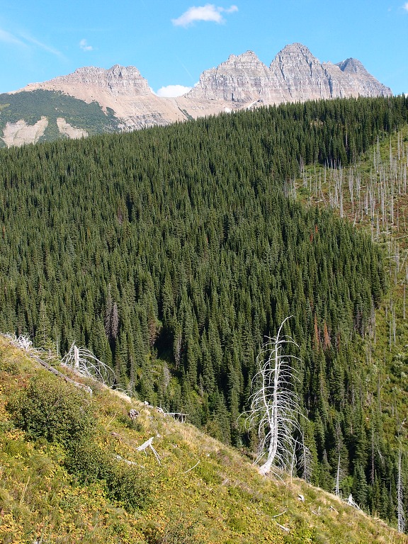 img00023.jpg