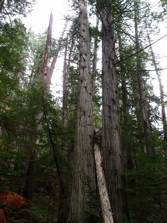img00019.jpg