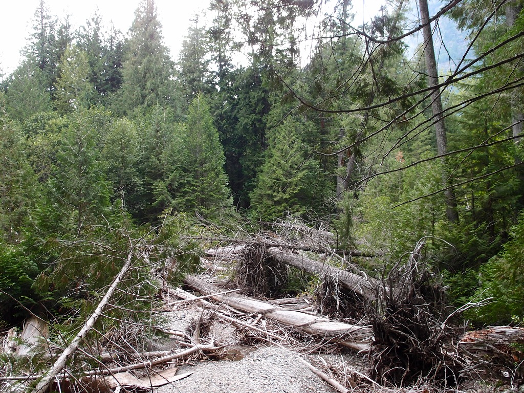 img00020.jpg